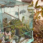 La Grange De Timon